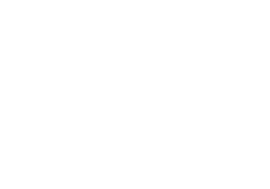 Alligator Alley